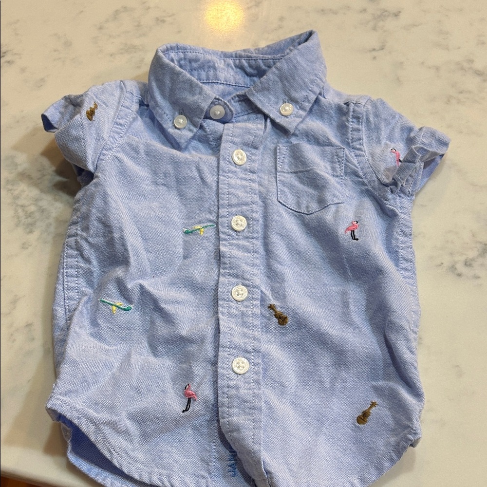 Janie and Jack Light Blue Button Down Shirt with Embroidered Accents
